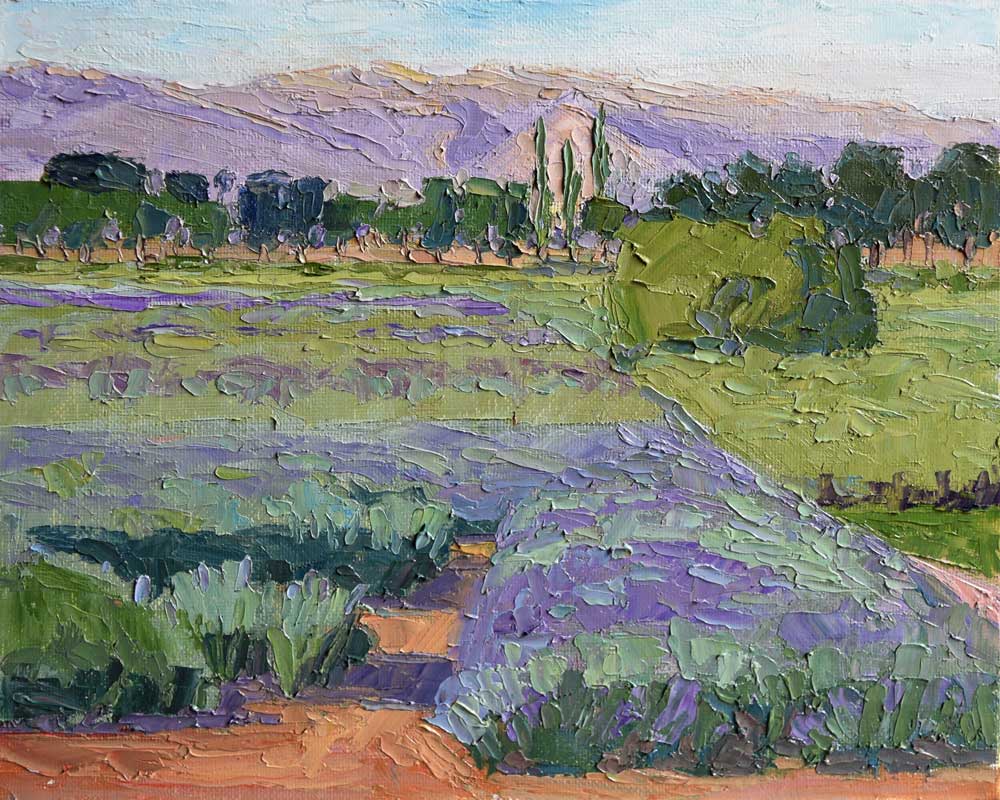 Mid-day in the Lavender Field