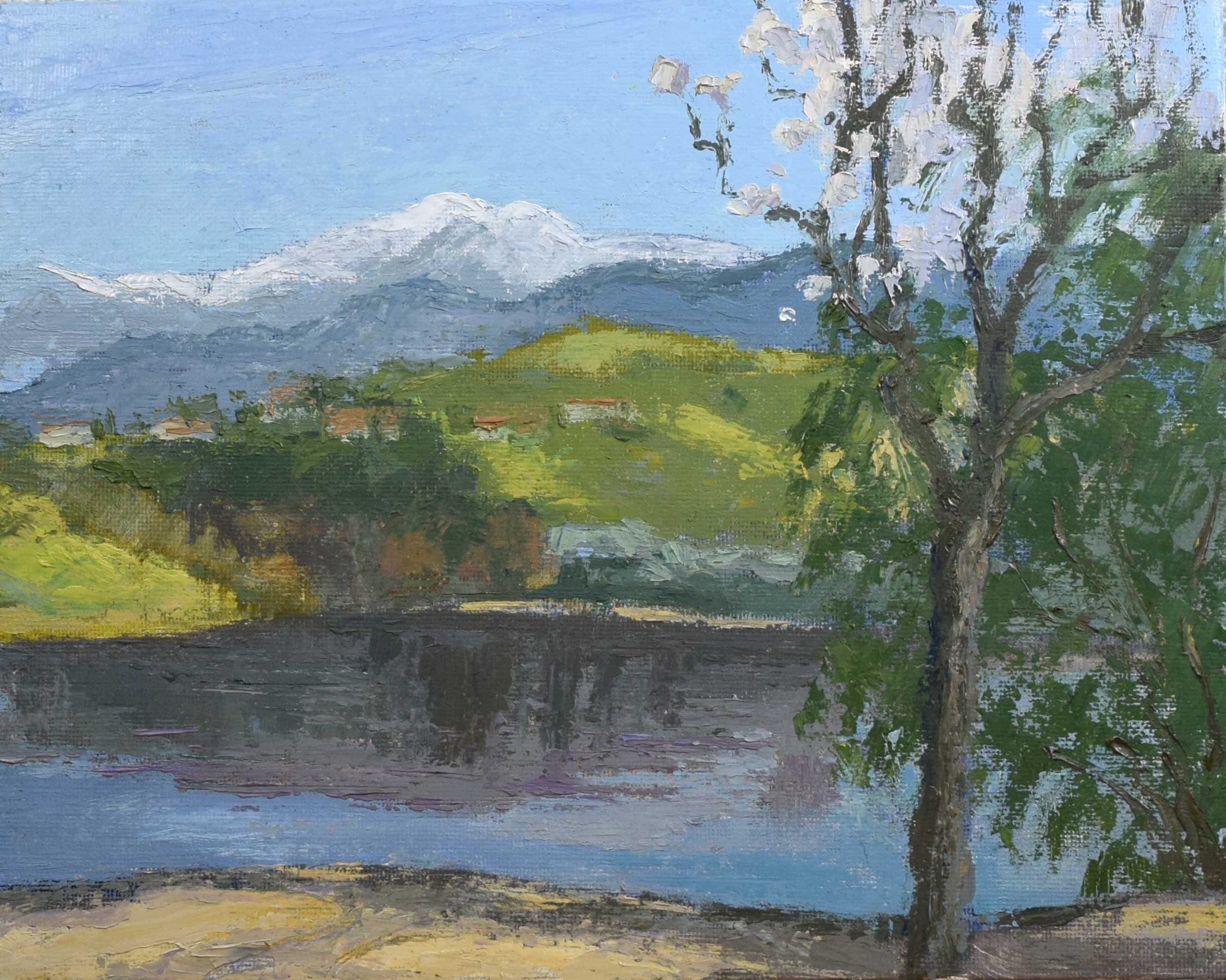 Pear Tree and Mount Baldy