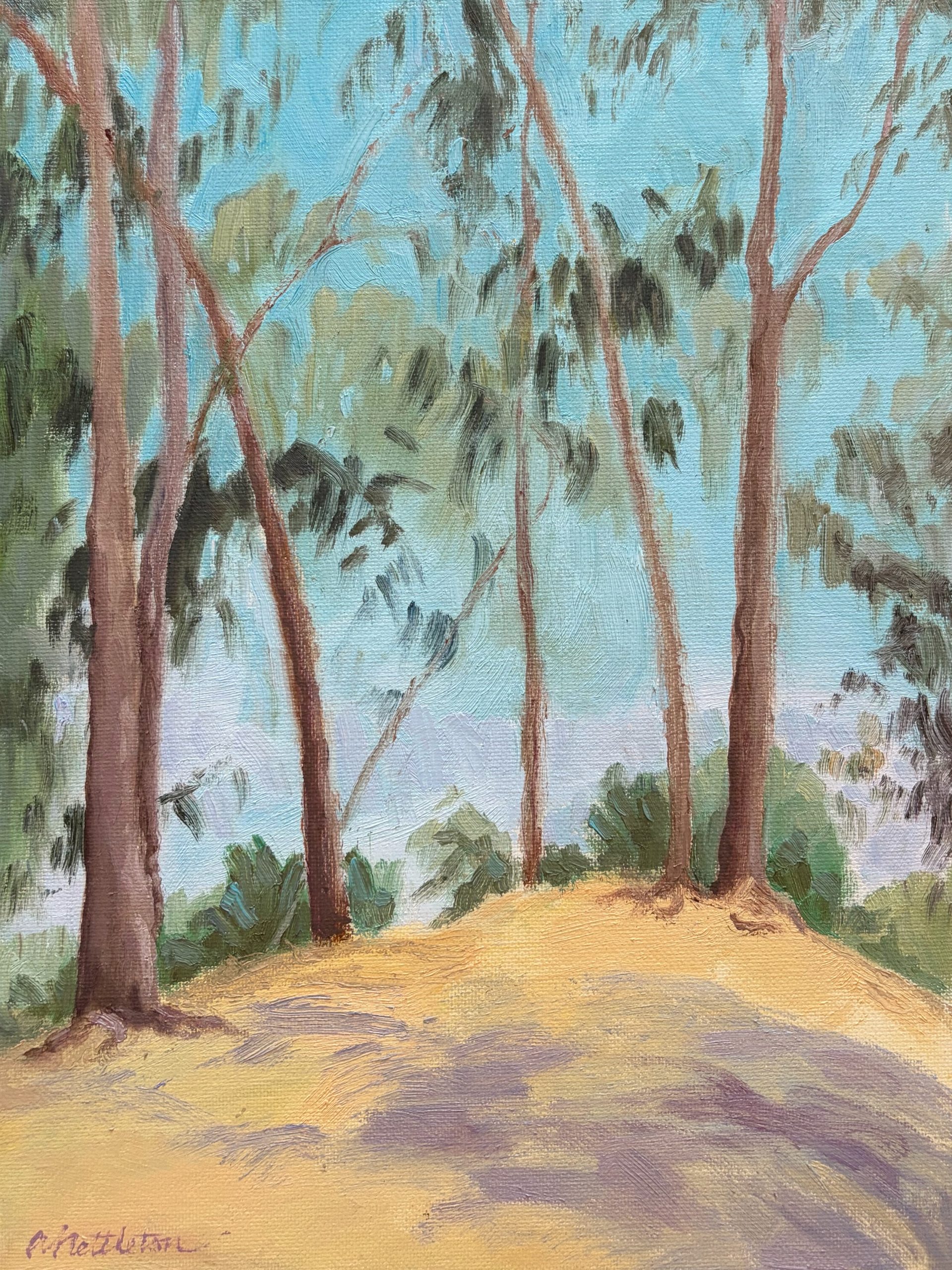 Eucalyptus Breeze