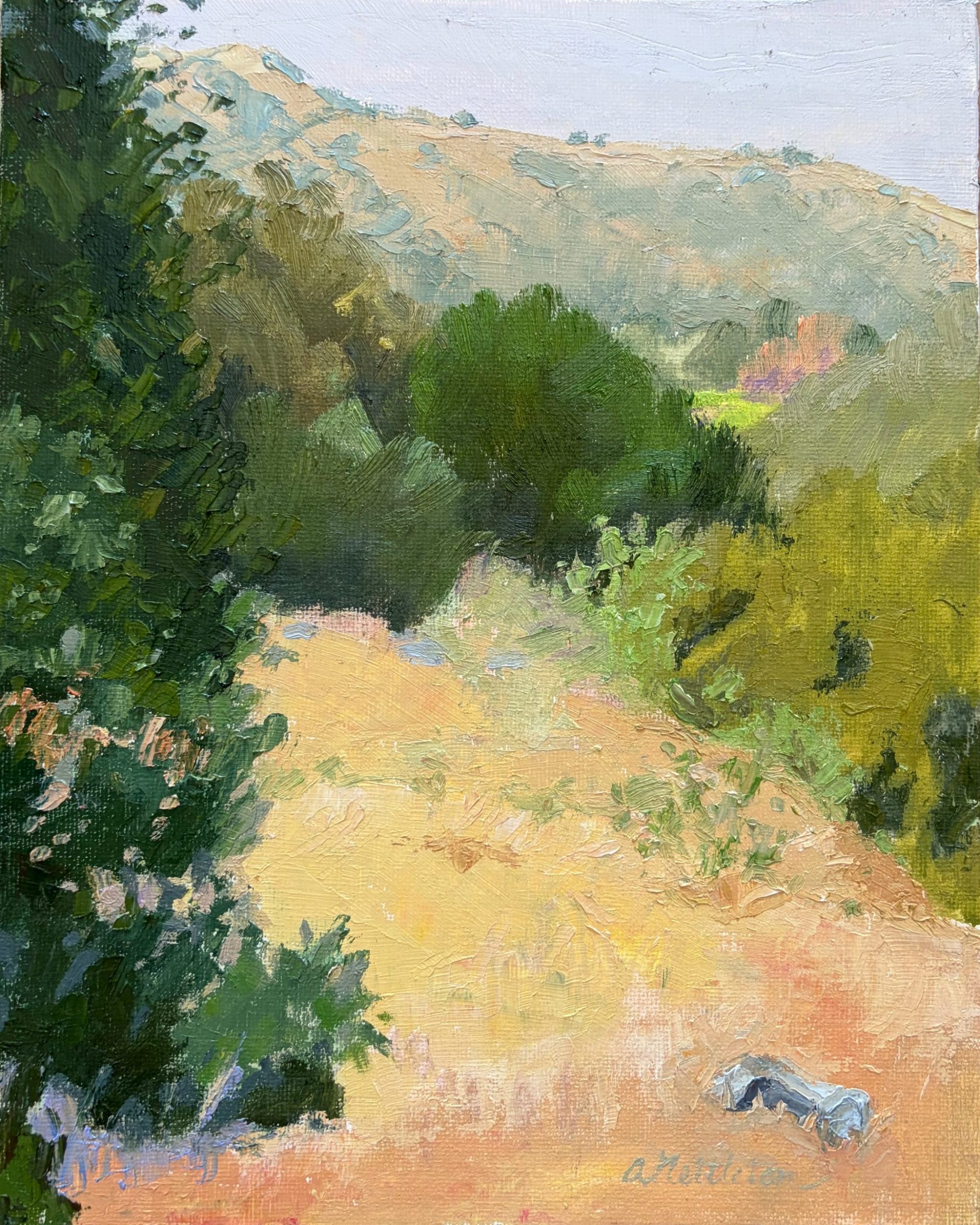 Stough Canyon Little View